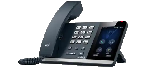 Overvalknop en stil alarm via bureautelefoon voor snelle noodmeldingen